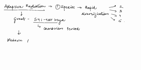 a-great-adaptive-radiation-of-animals-that-occurred-during-the-________-gave-rise-to-modern-animal-l-33574