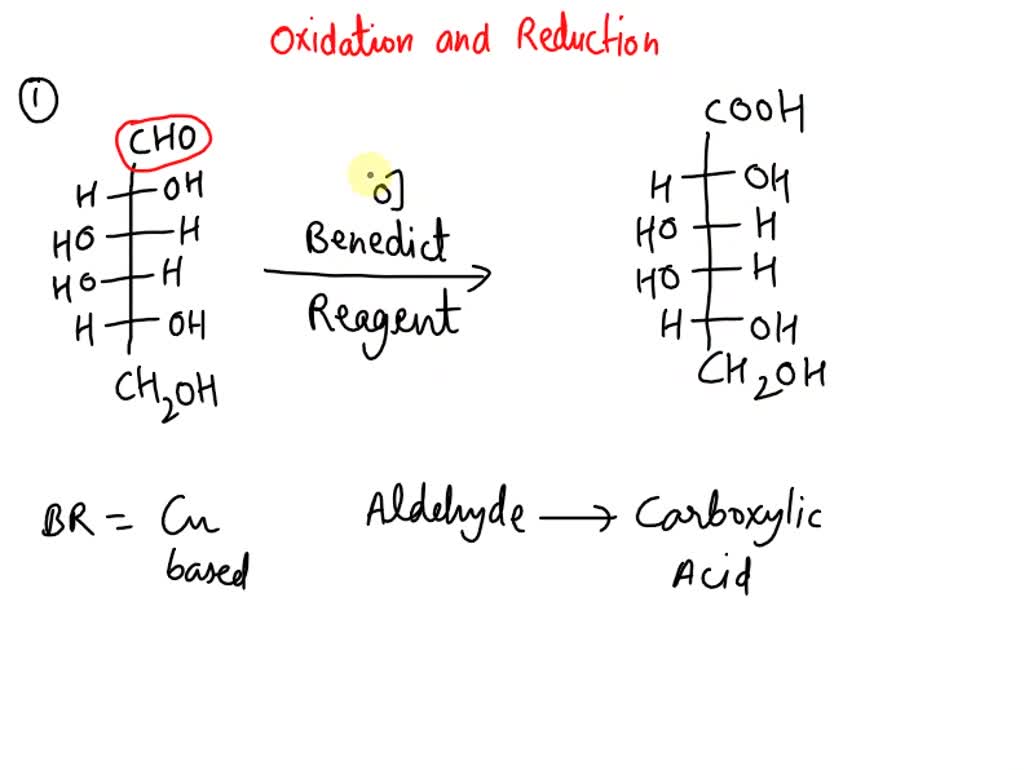 SOLVED The structure of αDgalactose is drawn below. What is the product of the reaction of α