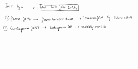 question-111-point-this-type-of-joint-lacks-a-joint-cavity-and-is-held-together-by-a-fibrous-connective-tissue-1fibrous-joints-2cartilaginous-joints-3synovial-joints-o1only-o2only-o3-only-o1-17342