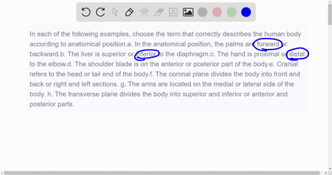 in-each-of-the-following-examples-choose-the-term-that-correctly-describes-the-human-body-according-to-anatomical-positiona-in-the-anatomical-position-the-palms-are-forward-or-backwardb-the-03757