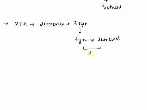2-true-or-false-the-phosphorylation-cascade-resulting-from-the-activation-of-a-receptor-tyrosine-kinase-receptor-allows-for-multiple-cellular-responses-a-false-each-phosphorylation-cascade-r-94212