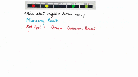 question-38-2-pts-mrna-from-normal-breast-tissue-cells-was-isolated-and-labeled-with-a-green-fluorescent-marker-mrna-from-cancerous-breast-cells-was-isolated-and-labeled-with-red-fluorescent-50508