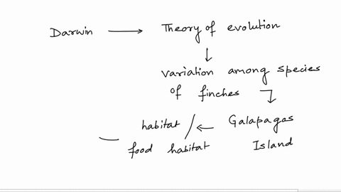 how-did-darwin-develop-his-theory-of-evolution-experimentation-observation-statistical-analysis-both-experimentation-and-observation-66823