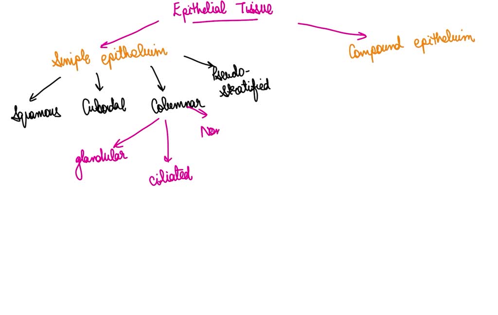 solved-how-can-i-make-a-concept-map-using-these-words-matching-with