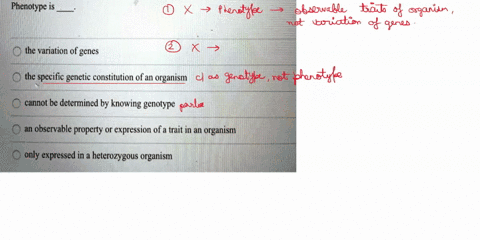phenotype-is-the-variation-of-genes-the-specific-genetic-constitution-of-an-organism-cannot-be-determined-by-knowing-genotype-an-observable-property-or-expression-of-a-trait-in-an-organism-o-20982