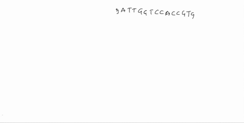 1-below-is-one-strand-of-dna-construct-the-complementary-strand-a-t-t-g-g-t-c-c-a-c-c-g-t-g-2-a-protein-has-the-following-amino-acid-sequence-construct-a-dna-nucleotide-sequence-of-the-struc-92297