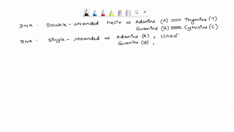 question-12-1-point-saved-particular-triplet-of-bases-in-the-coding-strand-of-dna-is-agt-what-is-the-corresponding-codon-for-the-mrna-transcribed-from-this-gene-sequence-agu-agt-tcu-tca-uca-23995
