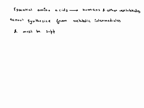 what-happens-when-an-essential-amino-acid-is-missing-from-the-diet-02667