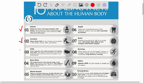 anatomy-and-physiology-past-questions