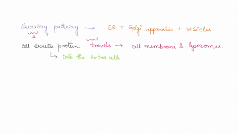 outline-the-secretory-pathway-in-a-eukaryotic-cell-and-discuss-the-role-of-different-cell-organelles-in-protein-secretion-and-modification-please-explain-in-details-16818