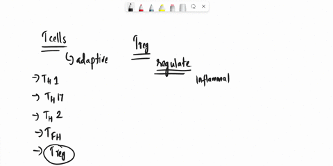 i-am-planning-to-pick-one-topic-about-immunology-i-picked-regulatory-t-cells-it-is-hard-for-me-to-brainstorm-this-topic-could-an-expect-help-me-lay-out-some-key-points-that-can-make-it-easy-04193