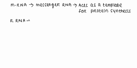 match-the-following-statements-with-rrna-mrna-or-trna-a-combines-with-proteins-to-form-ribosomes-b-2-87516