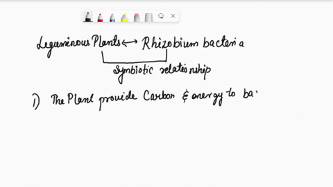 the-symbiosis-between-legumes-and-rhizobia-involves-a-number-of-benefits-for-both-the-bacteria-and-plants-which-of-the-following-are-true-about-this-relationship-there-is-more-than-one-corre-73892