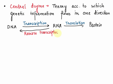 discuss-the-central-dogma-of-molecular-bology-1n-terms-of-the-flow-of-genetic-information-describe-the-main-properties-of-the-genetic-code-describe-the-process-of-transcription_-explain-the-59381