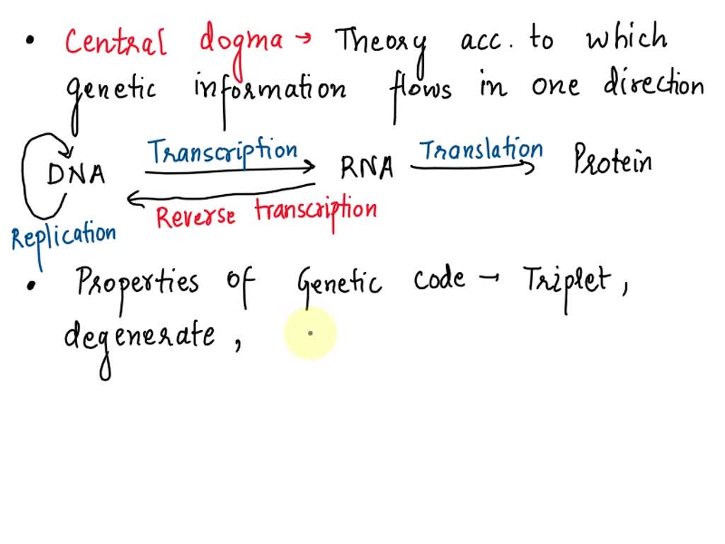 SOLVED: In details state the central dogma of molecular genetics ...