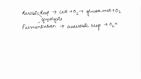 classify-each-label-listed-on-the-left-as-applylng-derobic-respiratlon-fermentation-should-be-dragged-i0-both-categorles-both-labels-that-apply-both-processes-acrobic-respiration-fermentatio-04962