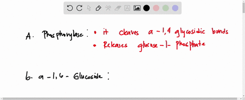 20-4-pts-match-the-enzymes-that-degrade-glycogen-in-the-left-column-with-the-appropriate-propertics-from-the-right-column-more-than-one-answer-may-be-appropriate-phosphorylase-is-part-of-a-s-91817