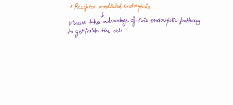 many-viruses-enter-host-cells-through-receptormediated-endocytosis-what-is-an-advantage-of-this-entr-77423