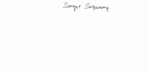 sanger-sequencing-explain-how-it-works-and-allows-determination-of-genetic-sequence-using-pcr-what-is-different-that-the-pcr-that-you-did-what-are-ddntps-how-do-they-differ-from-dntps-in-a-n-90368