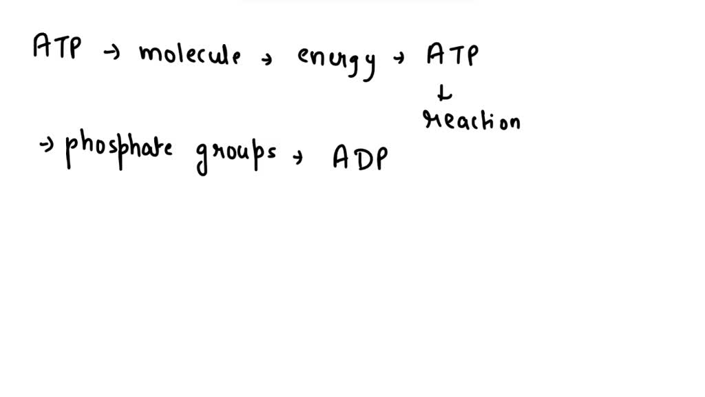SOLVED 2. Energy is released from an ATP molecule for cellular