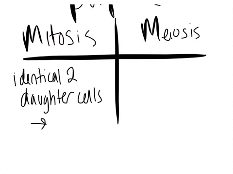 how-is-the-purpose-of-mitosis-different-from-the-purpose-of-meiosis-a-mitosis-produces-new-cells-for-prokaryotes-while-meiosis-produces-new-cells-for-eukaryotes-b-mitosis-produces-cells-asexually-th-2
