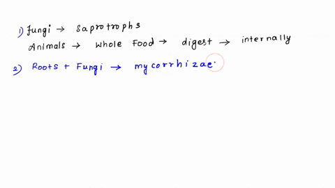 1-both-fungi-and-animals-are-heterotrophs-although-they-are-markedly-different-in-how-they-acquire-nutrients-explain-2-mycorrhizae-are-sometimes-referred-to-as-fungus-roots-explain-3-give-th-17116
