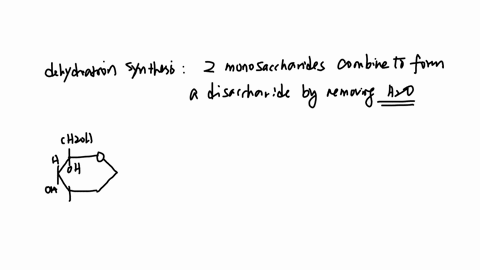 deyhdration-synthesis-gizmo-inier-based-o-ihat-you-have-seen-cieate-balanced-equation-for-the-dehydration-synthesis-reaction-recall-that-the-formula-for-glucose-is-ch_os-you-wll-have-0-deter-65026
