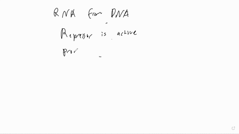 question-1-select-all-that-apply-both-bacteria-and-eukaryotes-can-make-mrna-and-proteins-simultaneously-can-make-multiple-proteins-from-the-same-mrna-simultaneously-can-make-multiple-mrna-fr-13179