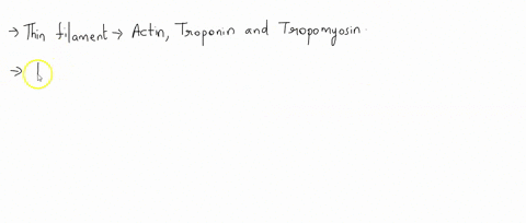 in-relaxed-muscle-the-myosin-binding-site-on-actin-is-blocked-by-_____-a-titin-b-troponin-c-myoglobi-96864