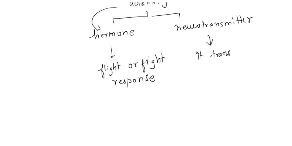 SOLVED: how are the elevated levels of epinephrine and norepinephrine ...