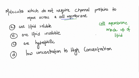 molecules-which-do-not-require-channel-proteins-to-move-across-cell-membrane_-are-lipid-soluble-are-lipid-insoluble-are-hydrophilic-must-always-be-moved-from-point-of-low-concentration-to-hi-40594