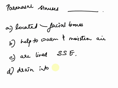 the-paranasal-sinuses-o-are-located-in-the-frontalsphenoid-zygomaticand-palatine-bones-ohelp-to-warm-and-molsten-the-inhaled-air-are-lined-by-simple-squamous-epithelium-drain-into-the-oropha-70151