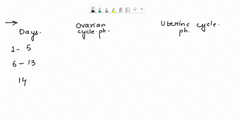 edit-11the-phases-of-both-the-ovarian-and-uterine-cycles-work-in-unison-complete-the-following-table-to-identify-and-compare-the-phases-of-the-ovarian-and-uterine-cycles4-marks-days-ovarian-28443
