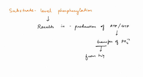 substrate-level-phosphorylation-occurs-within-a-metabolic-pathway-where-sufficient-energy-is-released-by-a-given-chemical-reaction-to-drive-the-synthesis-of-atp-from-adp-and-phosphate-substr-50357
