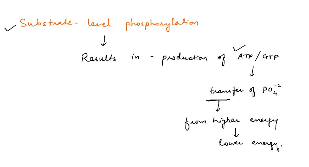 Solved: In The Payoff Phase Of Glycolysis, Atp Is Made Through The 