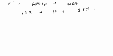 what-is-the-electron-carrier-involved-in-photosynthesis-what-are-its-oxidized-empty-and-reduced-full-states-what-are-the-stages-of-photosynthesis_-in-order-where-does-each-occur-95114
