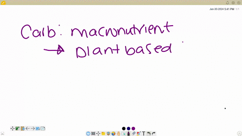 the-primary-function-of-carbohydrates-is