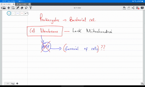 a-chemical-works-as-a-disinfectant-by-poking-holes-in-bacterial-cell-membranes-why-would-this-stop-t-26504