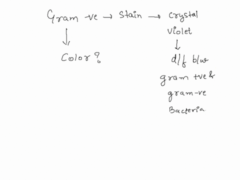 after-staining-with-only-crystal-violet-in-a-gram-stain-before-any-other-steps-gram-negative-bacteria-appear-a-dark-blue-b-clearcolorless-c-green-d-pinkish-red-70185