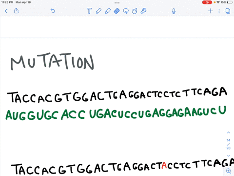 gene-expression-activity-changes-in-base-pairs-of-dna-can-dramatically-alter-the-protein-structure-that-is-expressed-through-the-process-of-gene-expression-beta-hemoglobin-with-a-change-in-a-67868