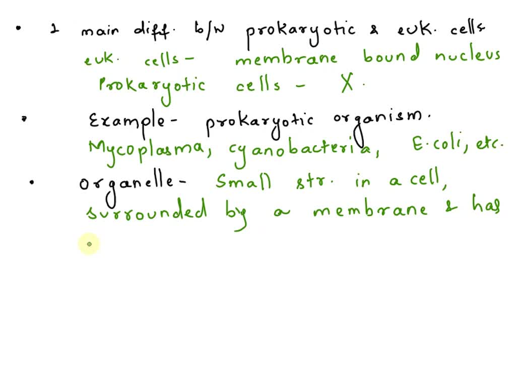 give an example of a prokaryotic unicellular organism