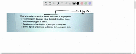 what-is-typically-the-result-of-double-fertilization-in-angiosperms-the-endosperm-develops-into-diploid-2n-nutrient-tissue_-a-triploid-3n-zygote-is-formed_-development-of-two-haploid-n-embry-58665