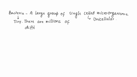 which-of-the-following-are-true-about-bacteria-select-all-that-apply-bacteria-are-all-around-you-bacteria-can-helpful-or-harmful-bacteria-are-multicellular-organisms-bacteria-can-only-be-fou-66362