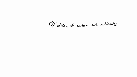 which-function-do-stems-and-roots-share-a-transpiration-b-photosynthesis-c-support-of-the-plant-body-d-intake-of-water-and-nutrients-2