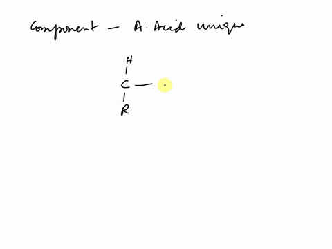 which-component-makes-each-amino-acid-unique-12842