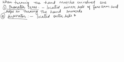 1-describe-the-muscles-involved-in-turning-the-hand-as-when-twisting-a-doorknob-back-and-forth-2-name-the-muscles-responsible-for-flexing-the-arm-which-muscles-are-antagonists-to-these-flexo-75227