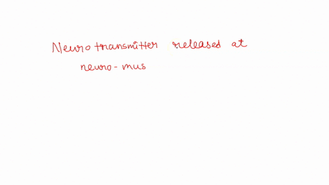 what-neurotransmitter-is-released-at-the-neuromuscular-junction-a-norepinephrine-b-serotonin-c-dopam-95547