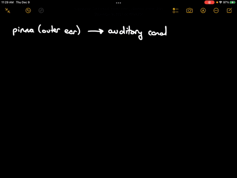 describe-the-path-of-sound-waves-through-the-ear-71946