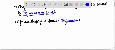 which-of-the-following-is-false-concerning-protozoans-a-giardia-lamblia-causes-water-borle-acute-or-chronic-foul-smelling-diarrhea-malarial-parasites-belong-to-the-genus-plasmodium-and-are-t-91517