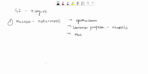 question32-2points-which-lyer-contains-the-lining-epithelium-reucasa-atuscularis-externa-serosa-submucosa-adventitia-51156